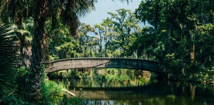 Le Tropical bridge de l'immense City Park