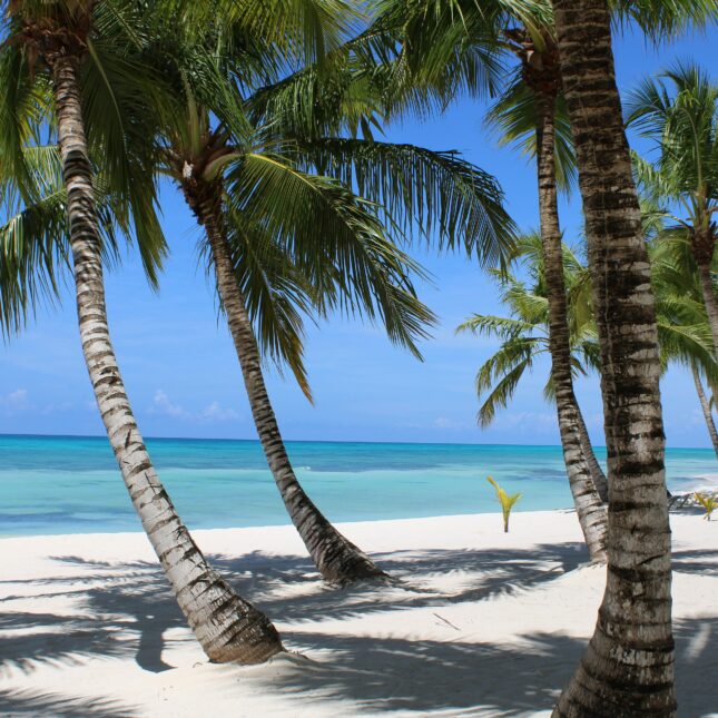 Les plages immacul&eacute;es de Isla Saona