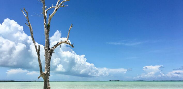 Plage d'Harbour Island