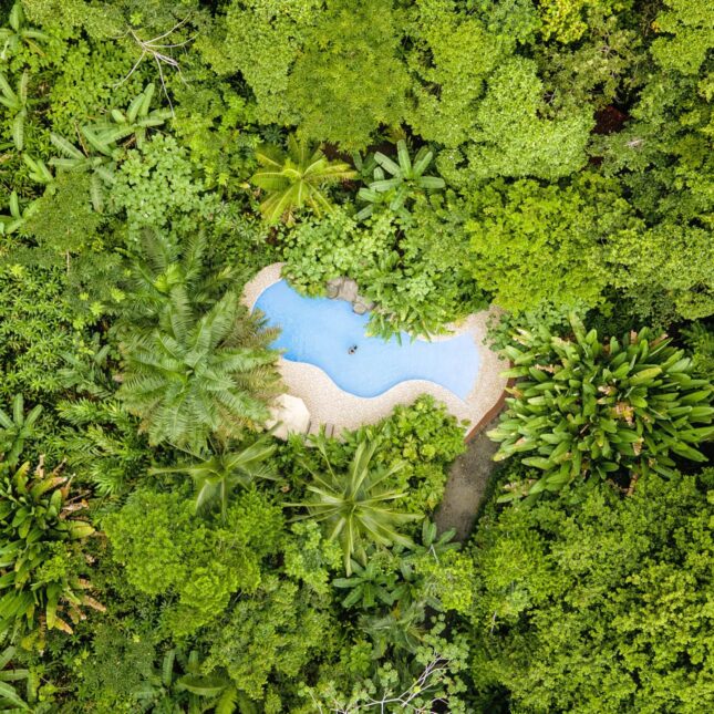 Ecoldoge Costa Rica