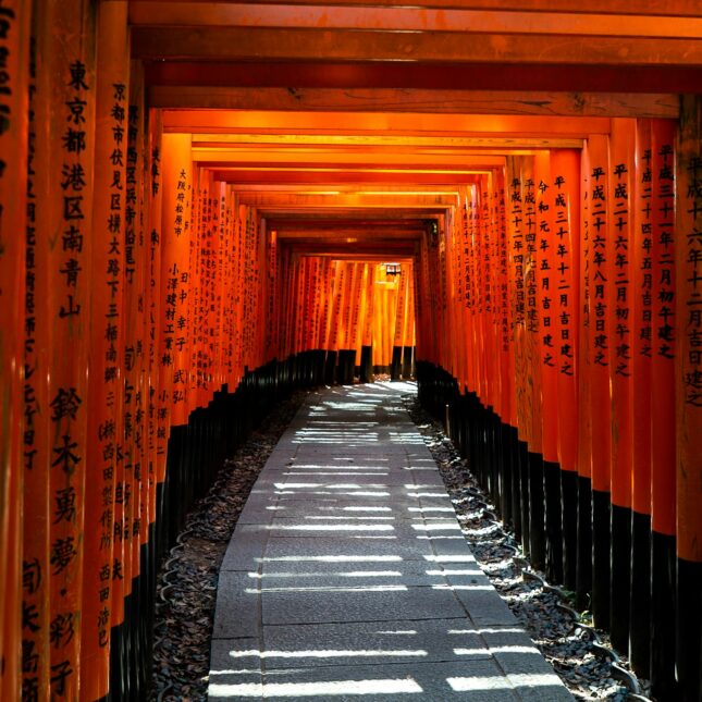 Les torii rouge du sanctuaire aux renards