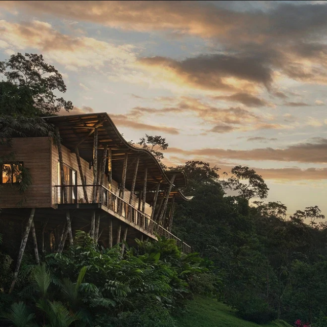Origins Floral Lodge