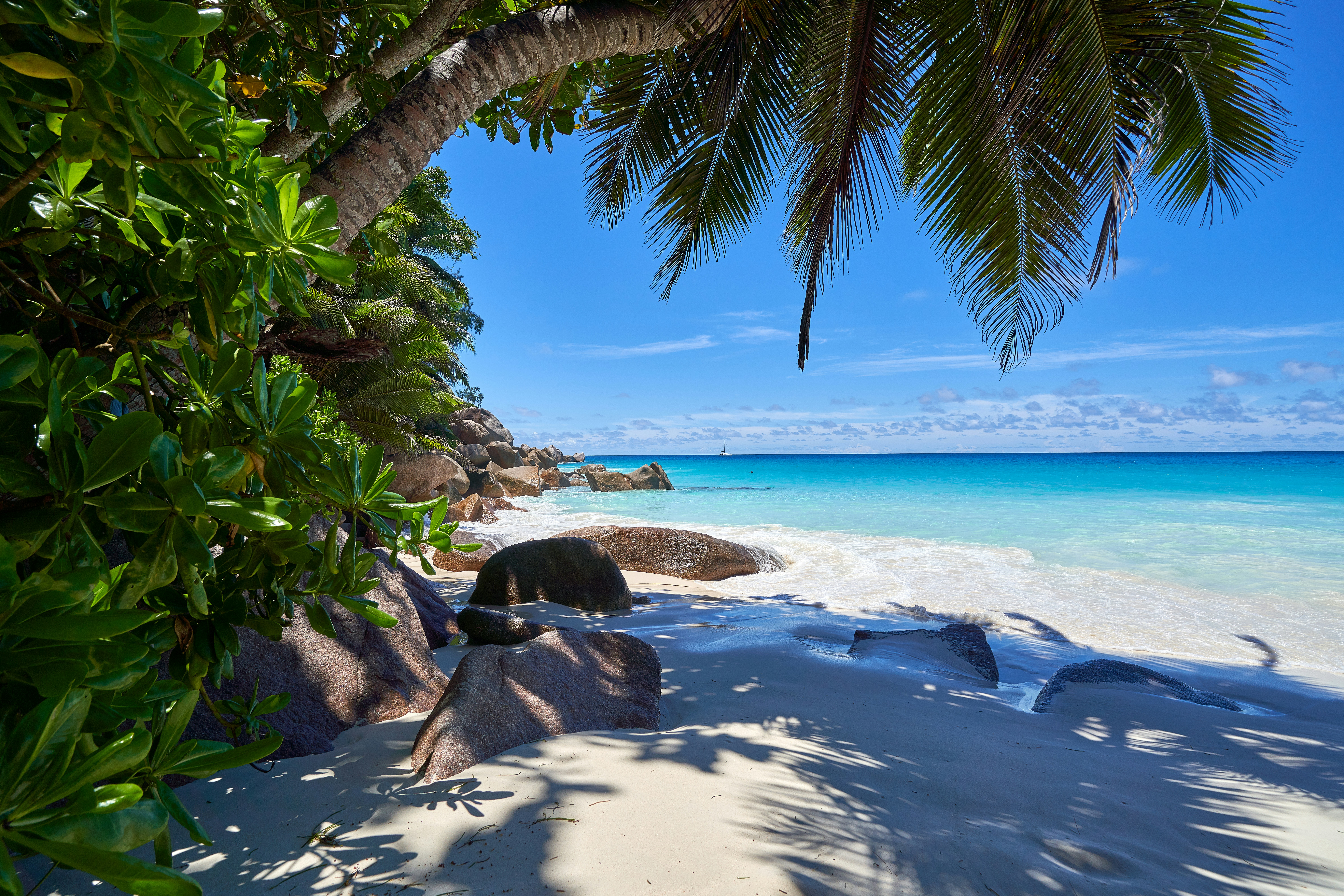 Plage Seychelles