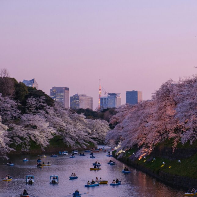 Le parc d'Ueno