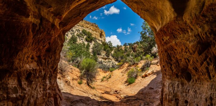 Belly of the Dragon