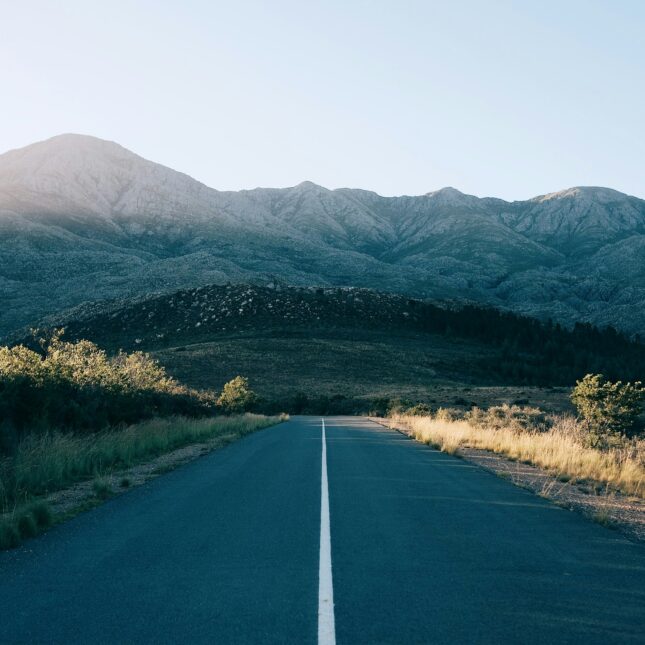 Afrique du sud