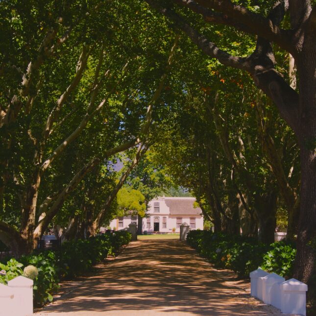 Franschhoek