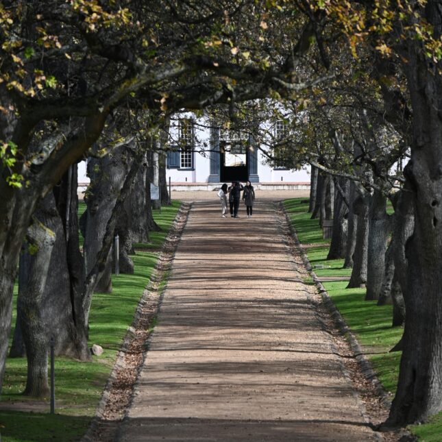 Le Groot Constantia Estate