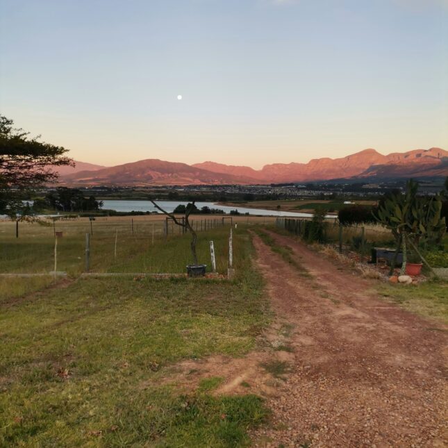 Route des vins Afrique du Sud