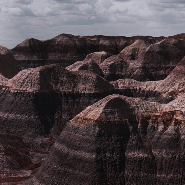Petrified Forest National Park