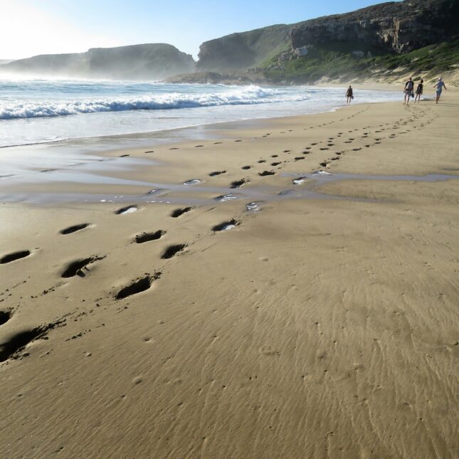 Robberg Island,