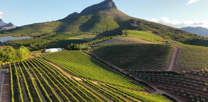 Stellenbosch