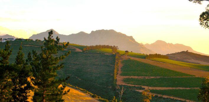 route des vins Afrique du Sud