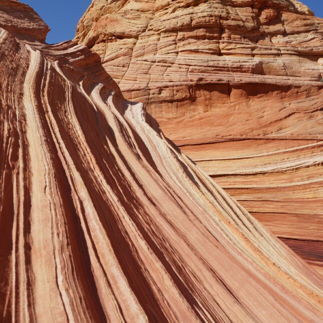 The Wave Trail