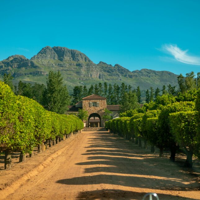 Stellenboch