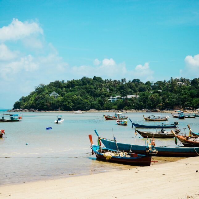 Que faire en Thaïlande