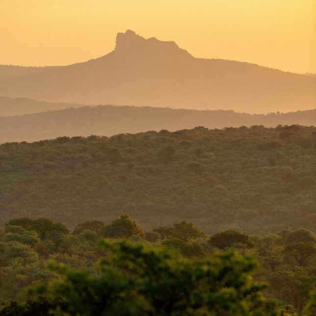 Kruger