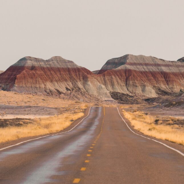Painted Desert